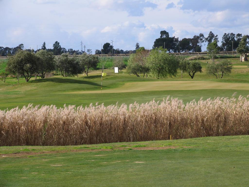 Golf Club Metaponto Guest House Екстериор снимка